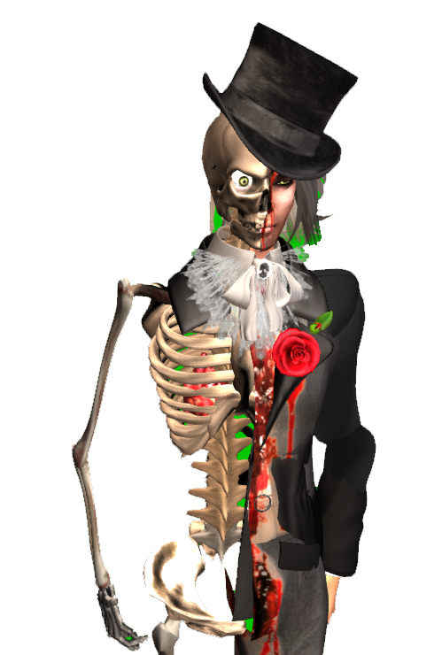 skeletonhalftrans